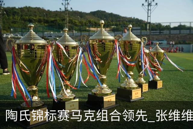 陶氏锦标赛马克组合领先 张维维/张雅惠上升到T10